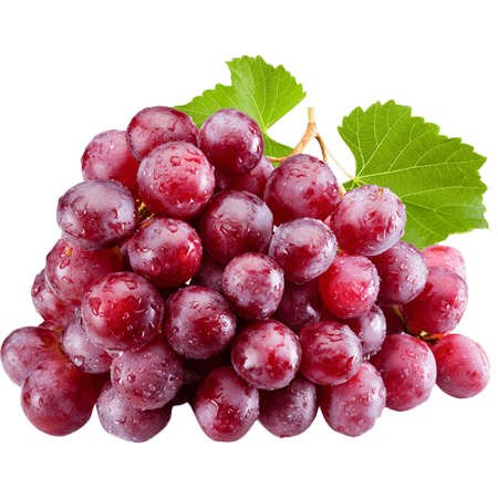 Fresh%20Fruits%20and%20Citrus%20Exporter