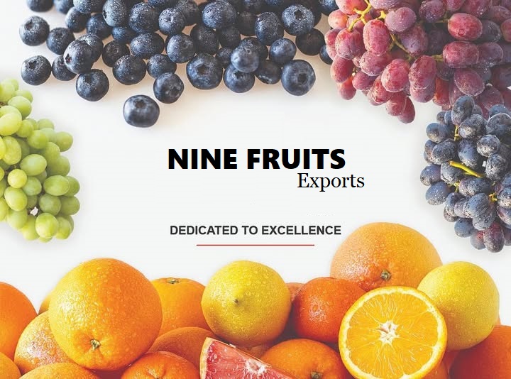 Fresh%20Fruits%20and%20Citrus%20Exporter