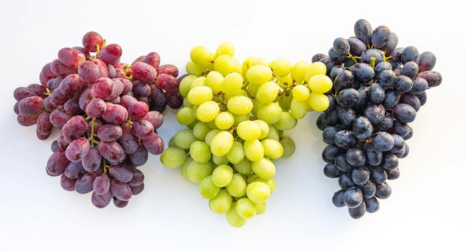 Fresh Fruits and Citrus Exporter