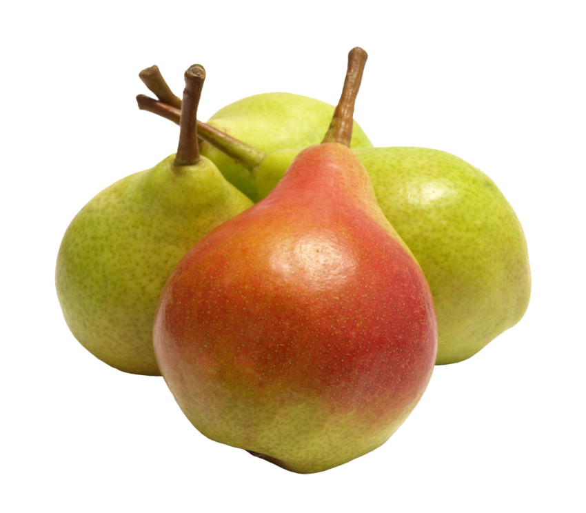 Fresh%20Fruits%20and%20Citrus%20Exporter